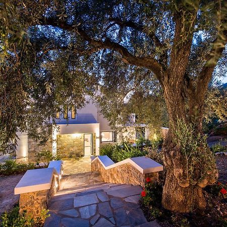 Villa Idealia Panormos (Skopelos) Exterior foto