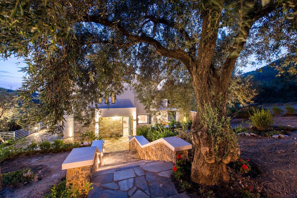 Villa Idealia Panormos (Skopelos) Exterior foto